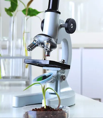 Effect Of Temperature On Enzyme Activity